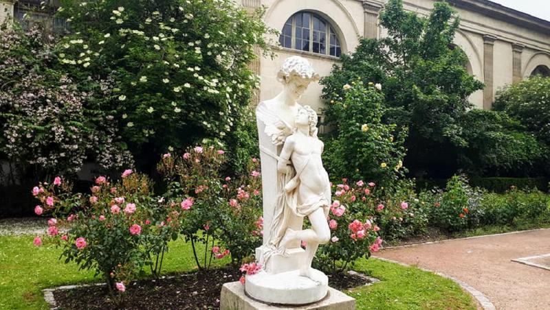 Roseraie du jardin des plantes