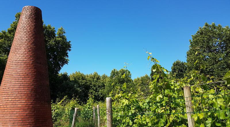 Vignes de Bercy